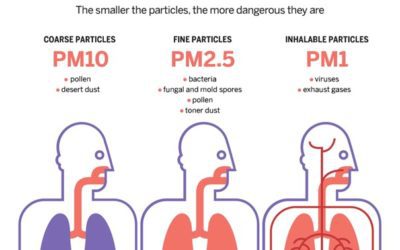 The Dangers of PM1 Particle Matter: What You Need to Know